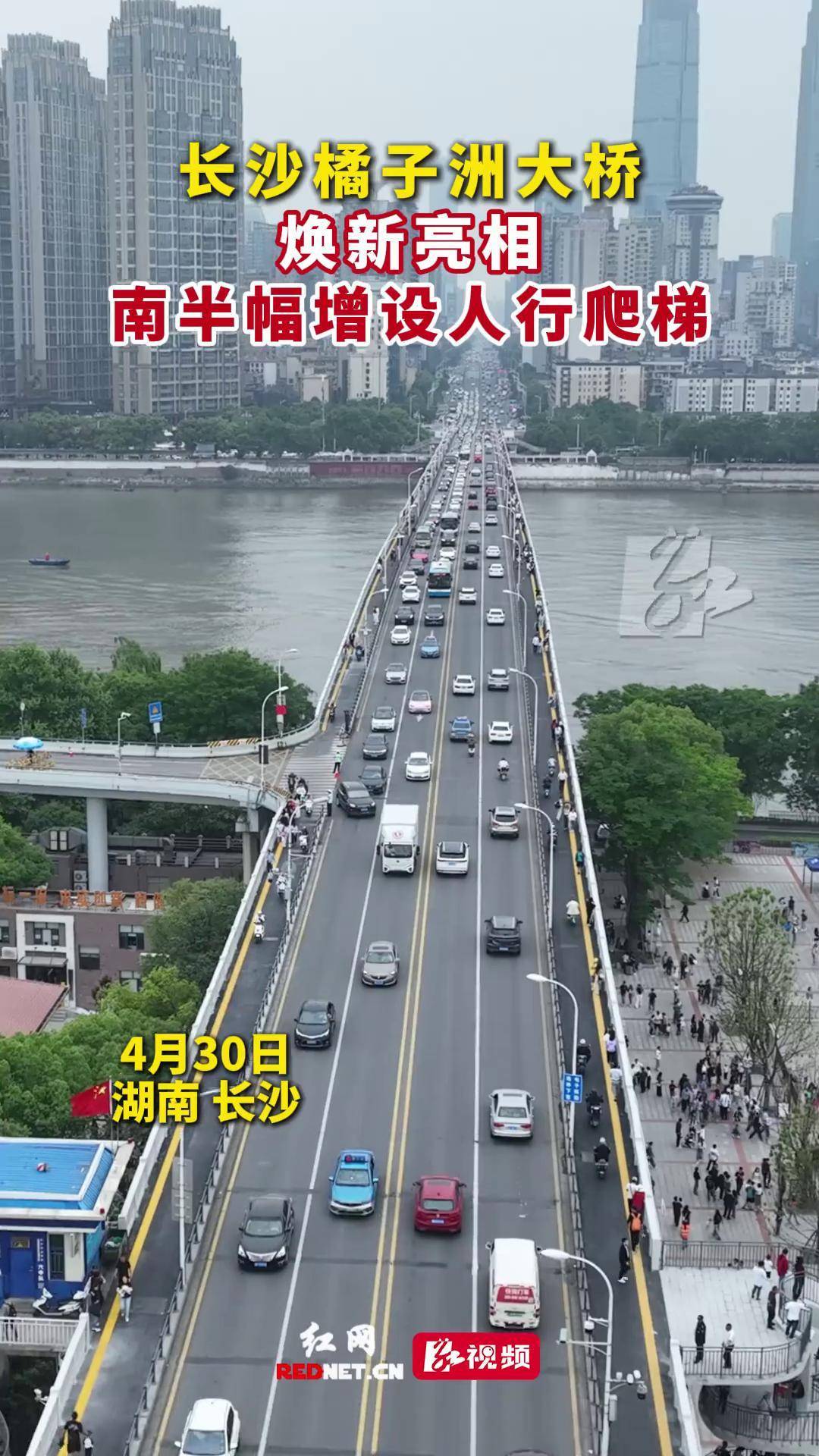 南橘子 