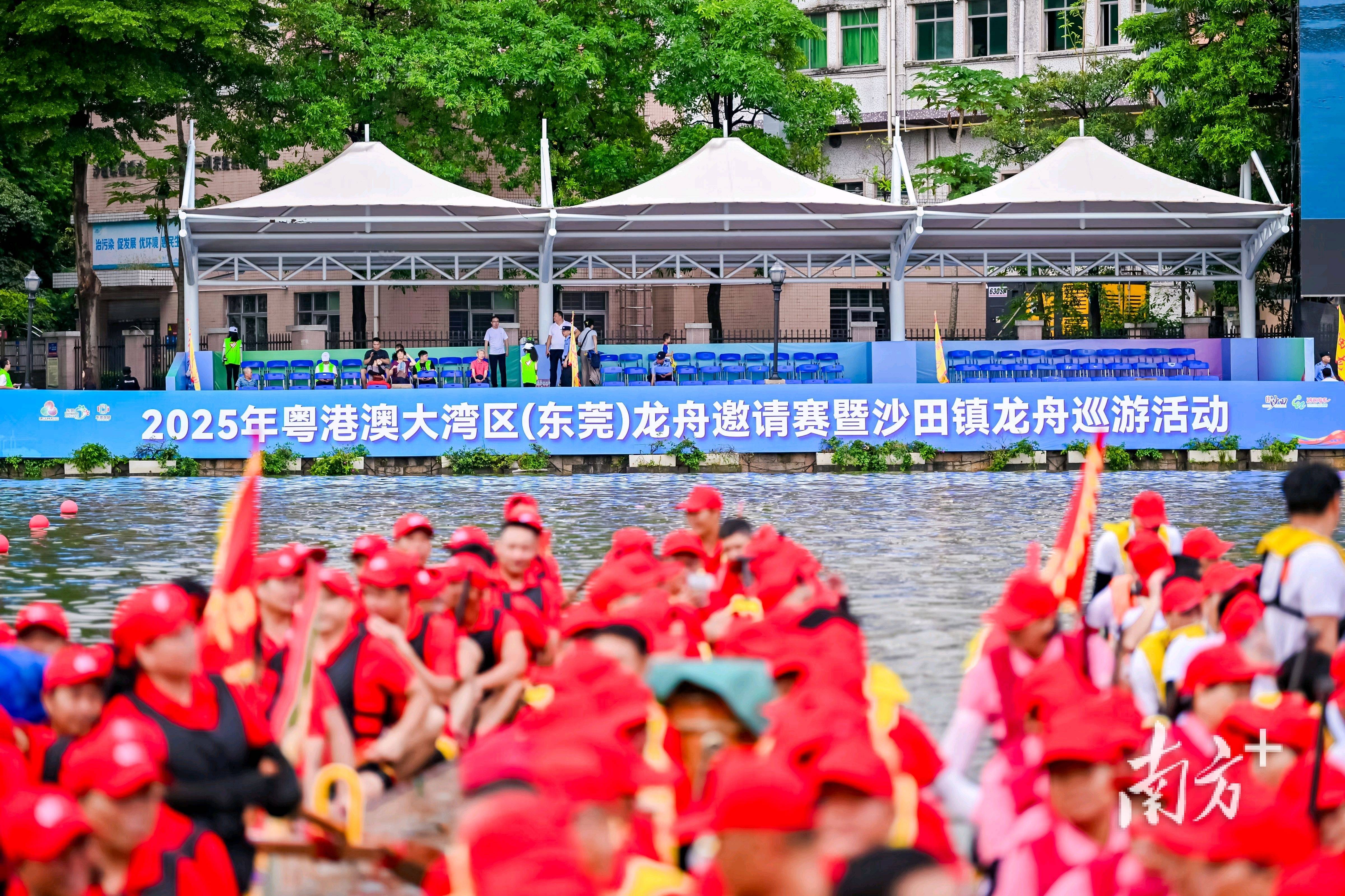 龙舟飞舞，2025年粤港澳大湾区（东莞）龙舟邀请赛在沙田鸣锣开赛_文化_精神_传统