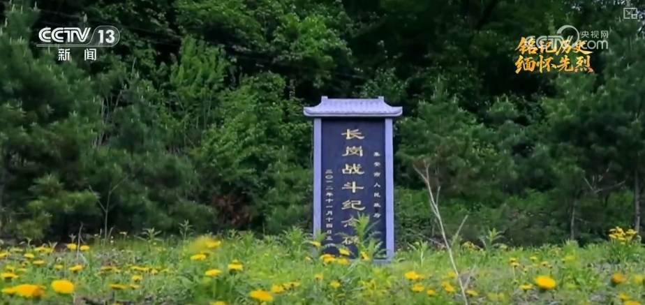 遮天动漫电视剧全集在线观看:岁月不曾模糊英雄身影 白山黑水间铸就中国人挺立的精神丰碑