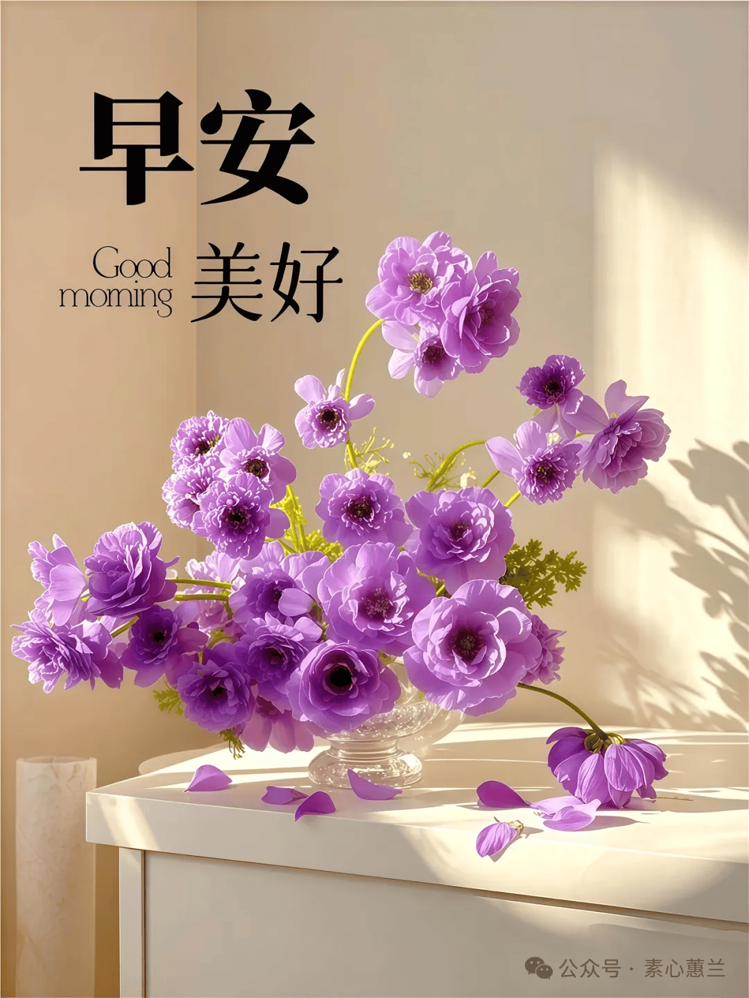 早安唯美图片早上好温馨祝福,愿你每一天,都有小确幸相伴!