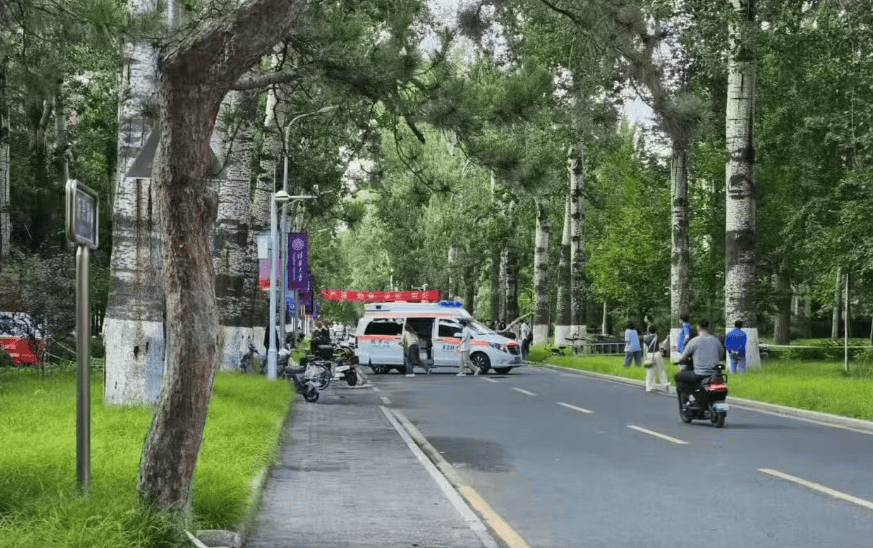 女教授在清华被树砸倒身亡，目击者：她当时正在骑车，其女儿也在现场，涉事绿化公司回应