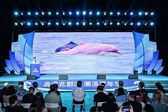 _2021年的北部湾广场_北部湾广场视频