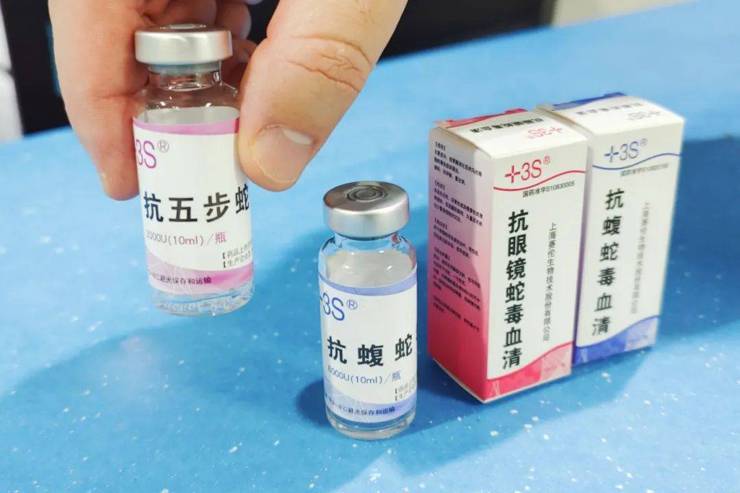 重庆一男子被五步蛇咬伤住进重症监护室!转扩!救命用! 重庆一男子被五步蛇咬伤住进重症监护室!转扩!救命用!