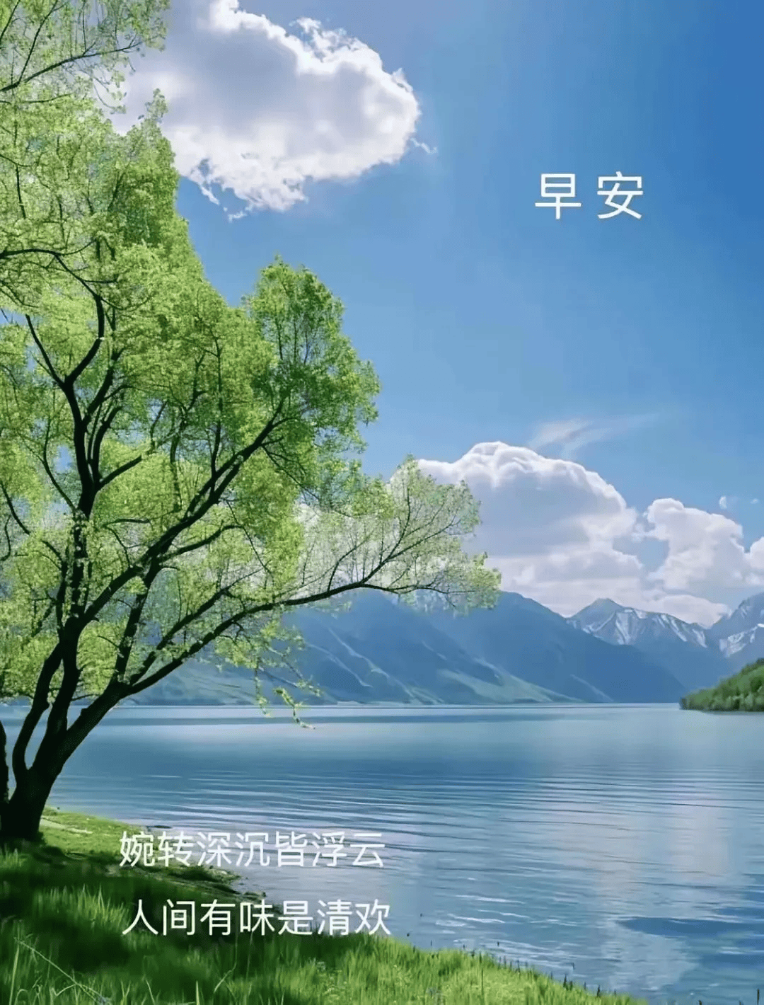 早安唯美图片早上好祝福语:晨安吉祥!