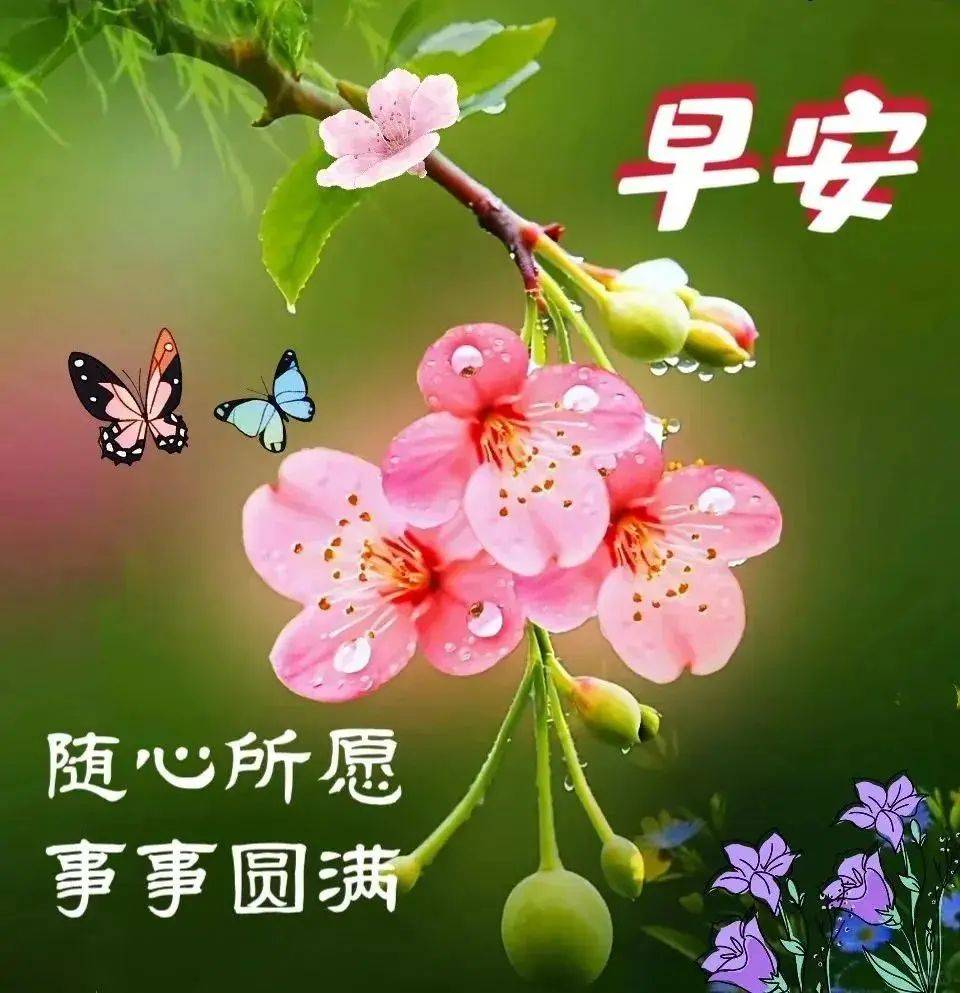 18张今日最新早上好表情图片大全,问候心情好,牵挂情谊好!