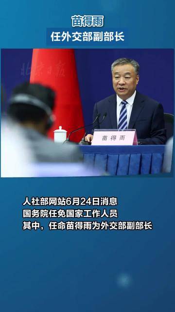 苗得雨任外交部副部长