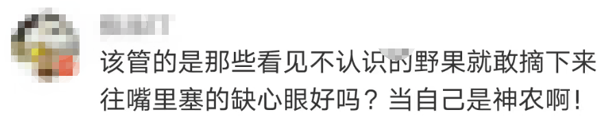 696969大但人文艺术价值:大片连根铲除！深圳一公园“火速响应”引质疑，网友为它喊冤