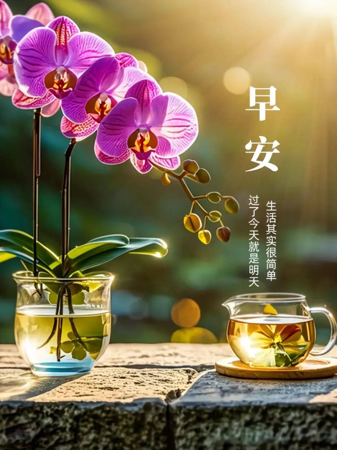 128张早安早上好图片唯美风景祝福问候图片早安吉祥平安健康