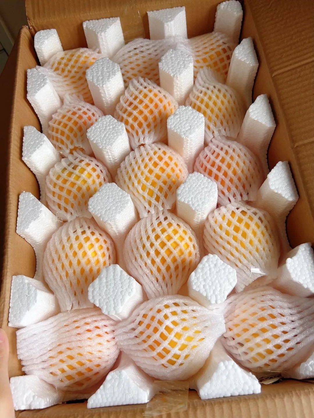 沂蒙山露天黄油桃果肉金黄香嫩,桃香浓郁软吃爆汁,硬吃脆嫩爽口▼八叔