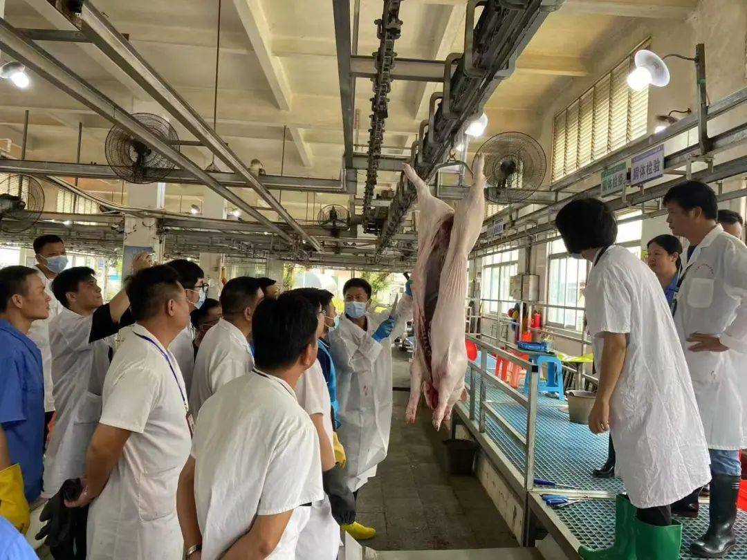 培训内容涵盖基础理论和实操演练,重点聚焦生猪屠宰检疫全流程涉及的