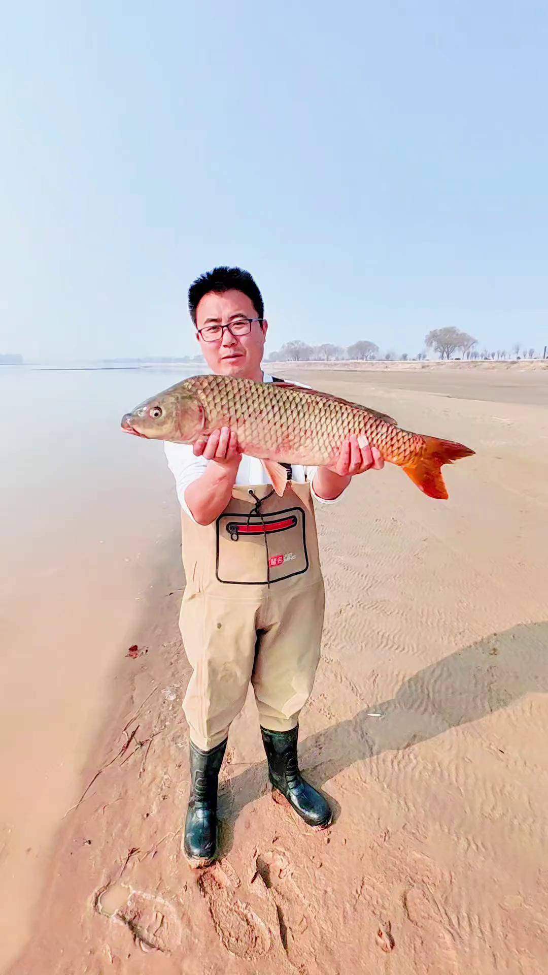 黄河大鲤鱼金鳞赤尾真漂亮,纯黄河箭鱼,太过瘾了 黄河 黄河大鲤鱼