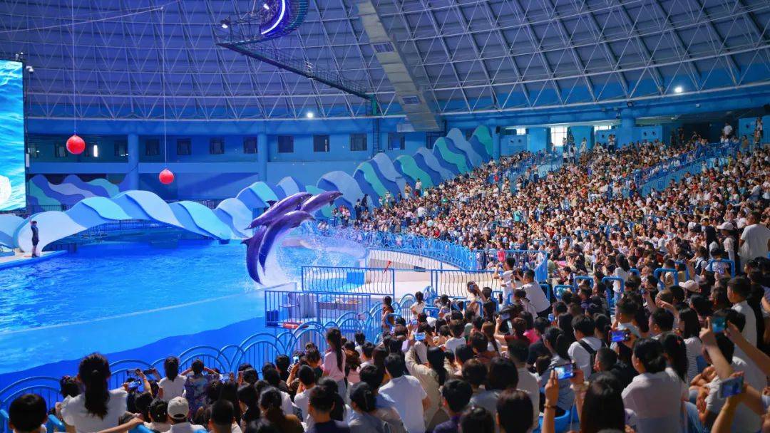 清穿之玛丽苏养成本纪:苏超徐州大屏观赛点来啦！更有景区免费、优惠政策，速看→