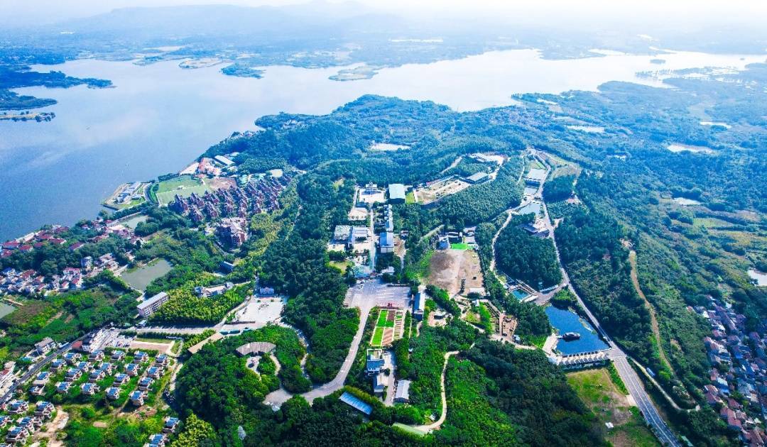 7—8月，南京这些景区免费开放！