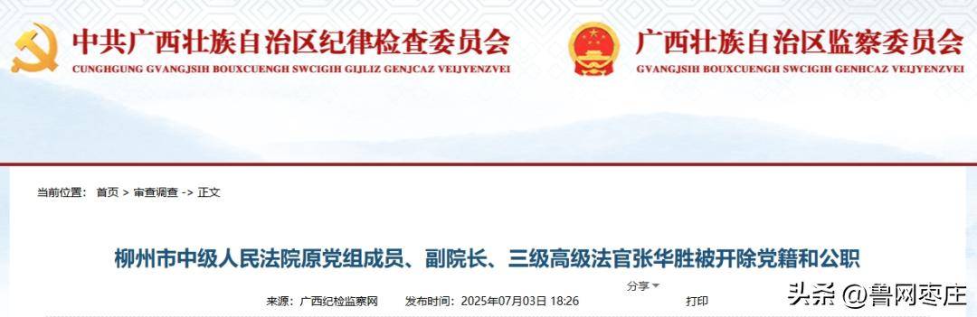 穿成大佬被拐卖的女儿:违规干预和插手司法活动！柳州中院副院长张华胜被“双开”