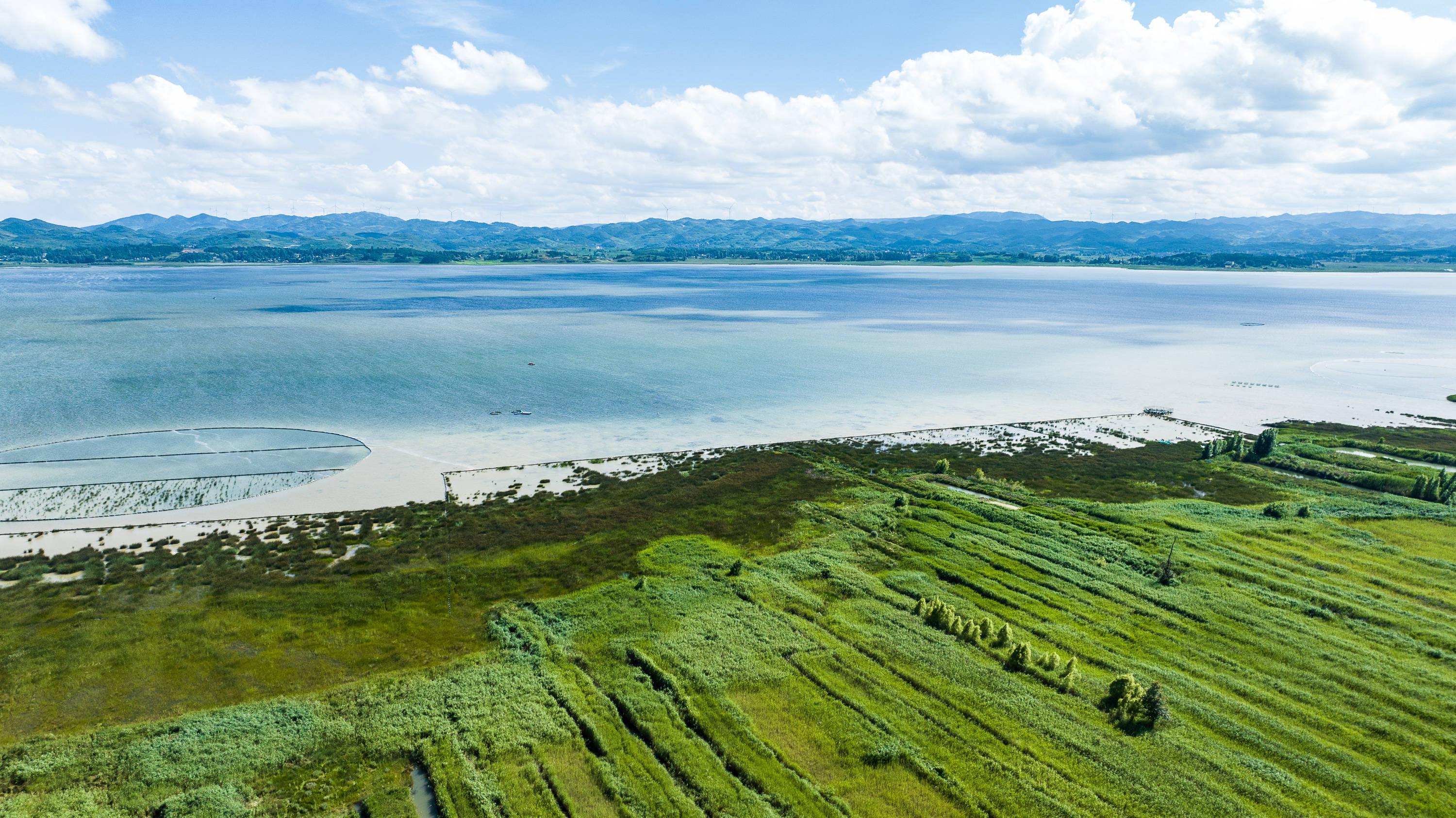 草海夏日风光美
