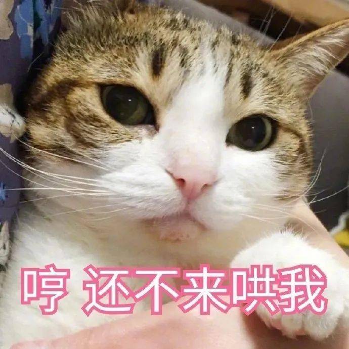 考研的女生很辛苦吗？是真的！！-第6张图片-索考网
