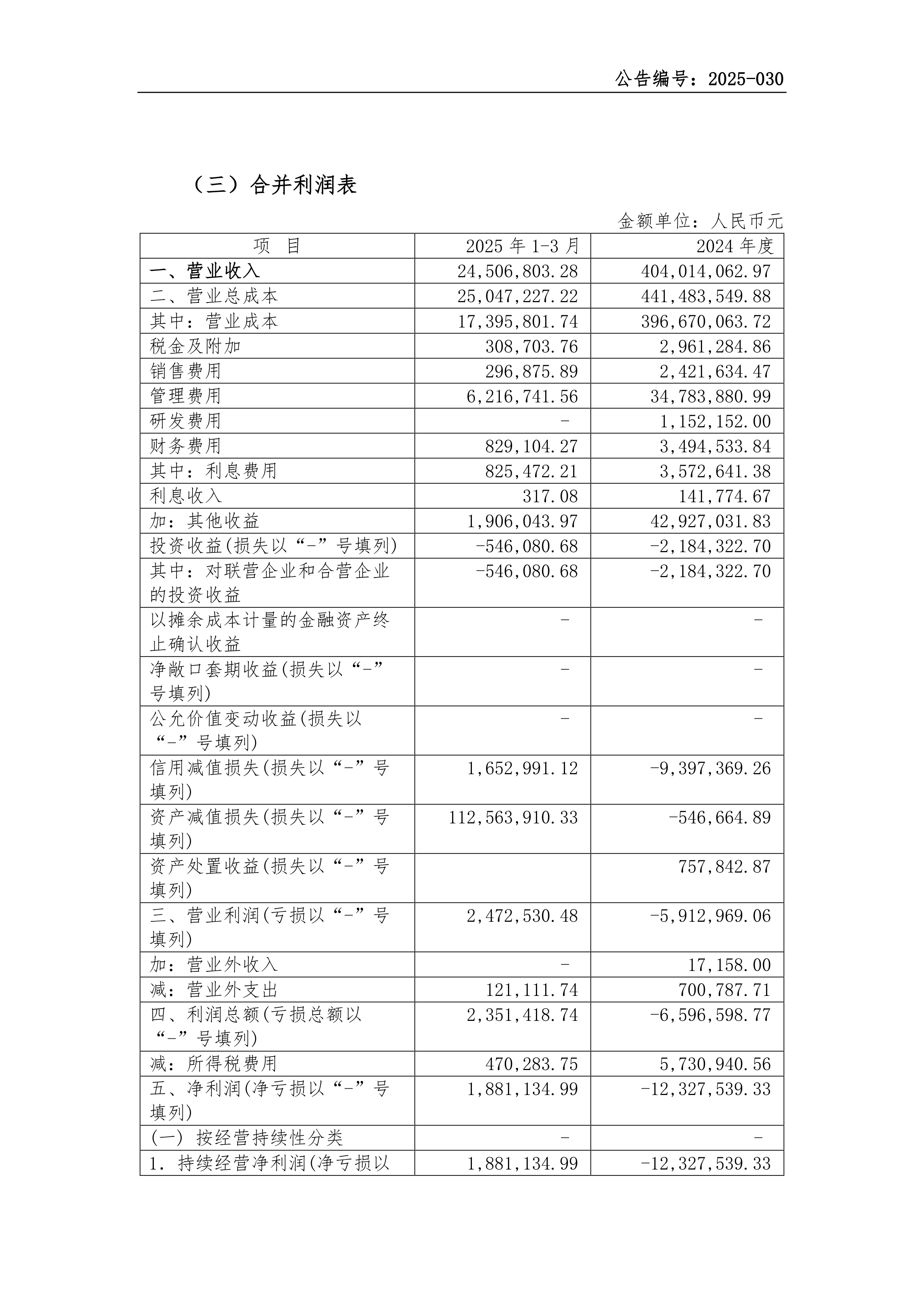 港股-新之科技-2025年第一季度财务报表