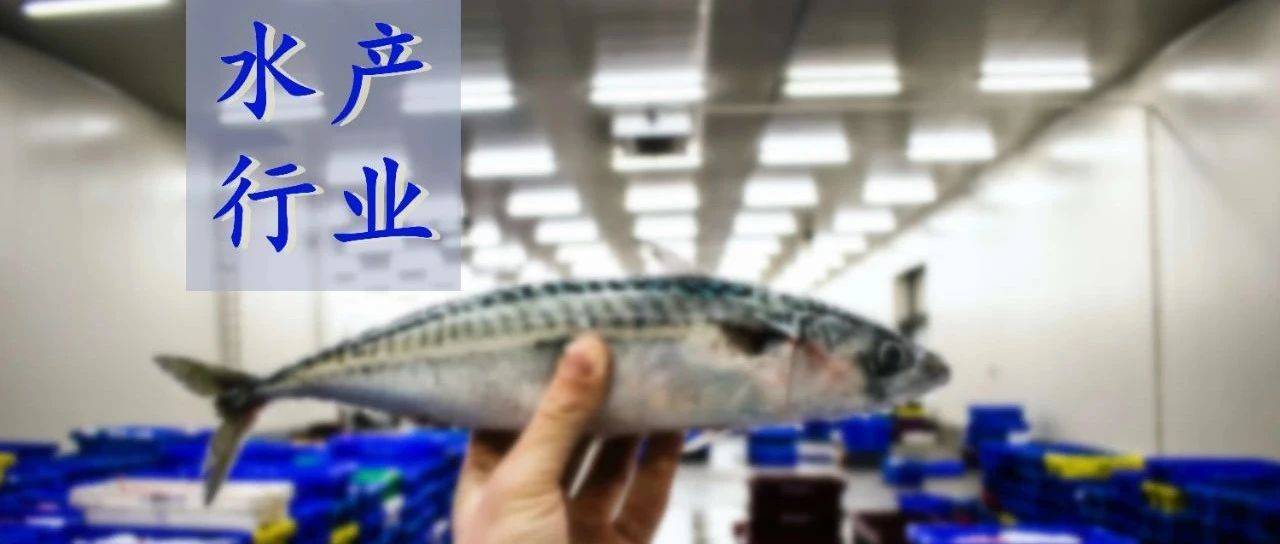 最新渔业公报震撼发布,3.4万亿产值背后的时代机遇_水产品_同比增长_产量