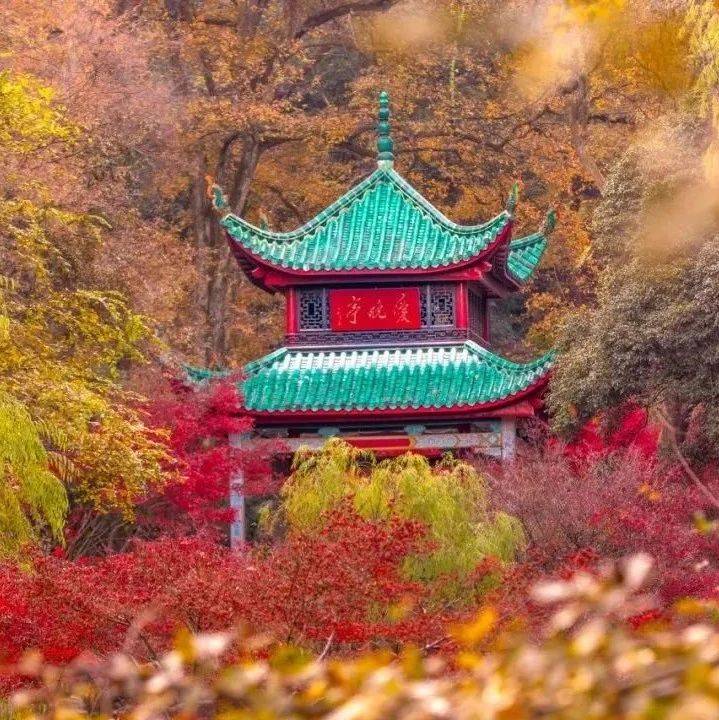 太图百科|中华四大汇览:四大名亭——岁月雕琢的诗意雅境_陶然亭_湖心亭_文化