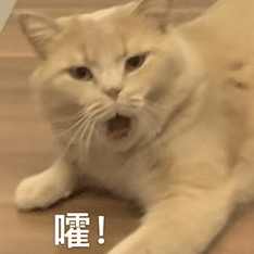 小扎自曝挖人秘诀：小团队我亲自带，豪掷数百亿建GW集群，大家不图天价薪酬只为“造神”