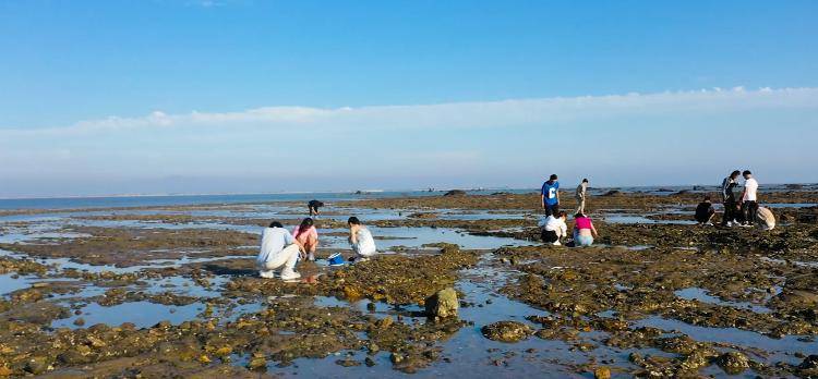 文登吃海鲜的饭店__文登哪里吃海鲜便宜