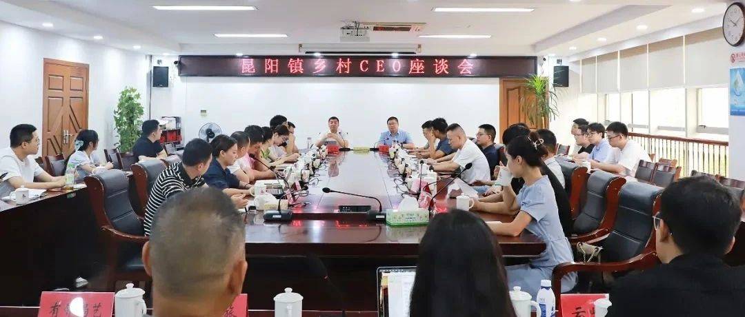 凝心聚力，推进大上林垟片区建设！昆阳镇召开乡村CEO座谈会_发展_杨启杰_项目