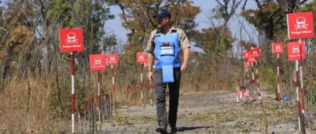 哈里继承戴妃遗志,徒步穿越非洲雷区?露大脸却没带梅根,英媒:不带就对了!_戴安娜_地雷_基金会