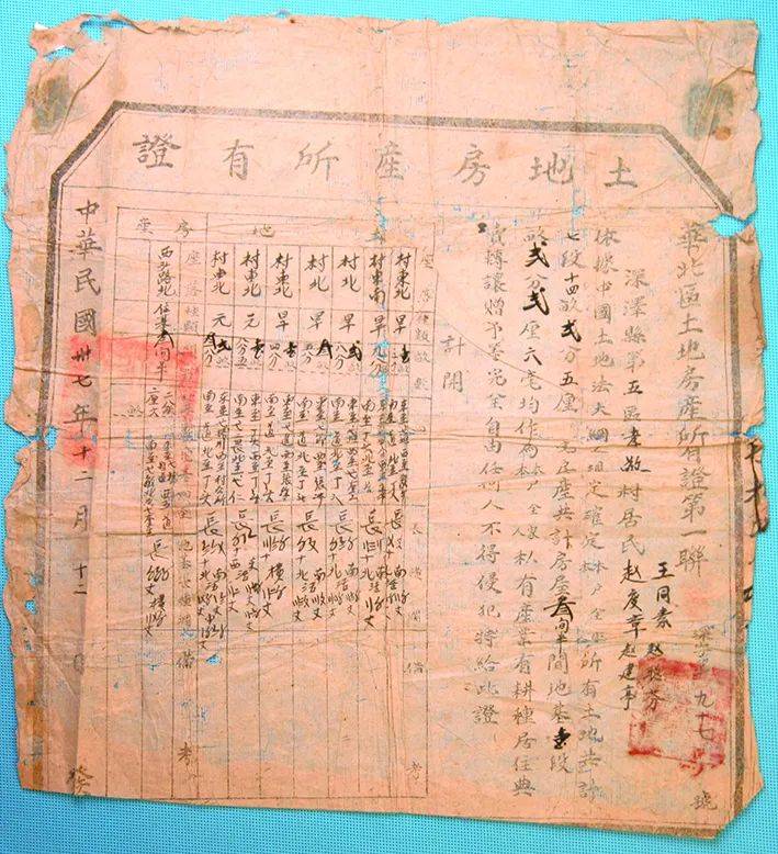 王成丽:耕者有其田