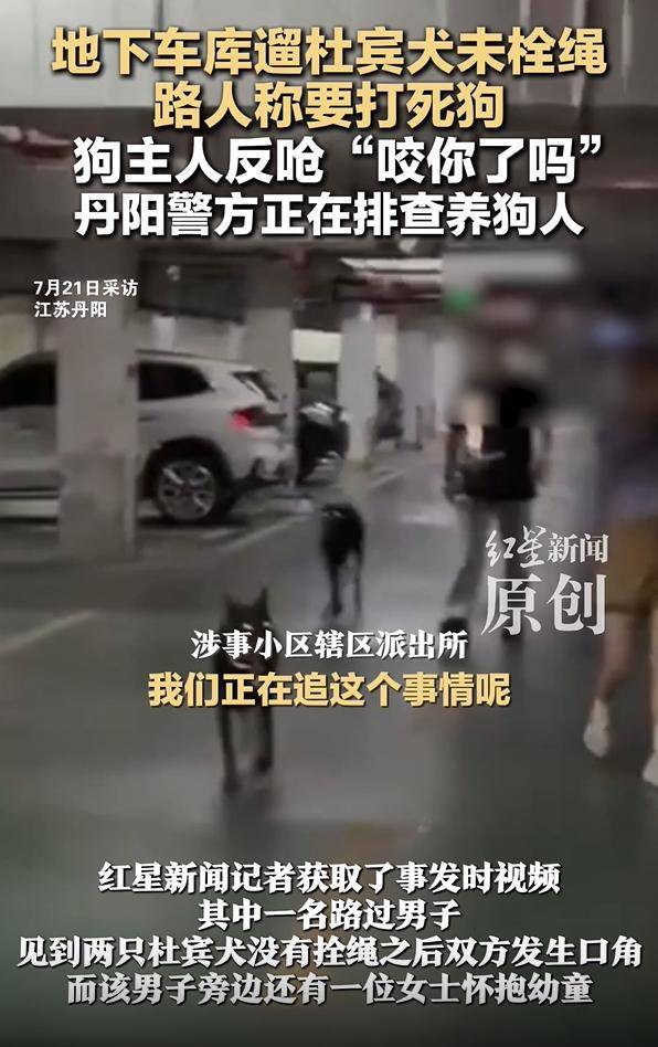 快评丨小区杜宾犬未拴绳起冲突，“登门道歉”本不该发生
