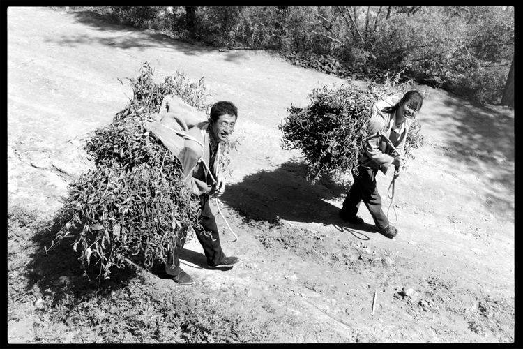30年的后续措施｜洛斯高原小山村的变化照片