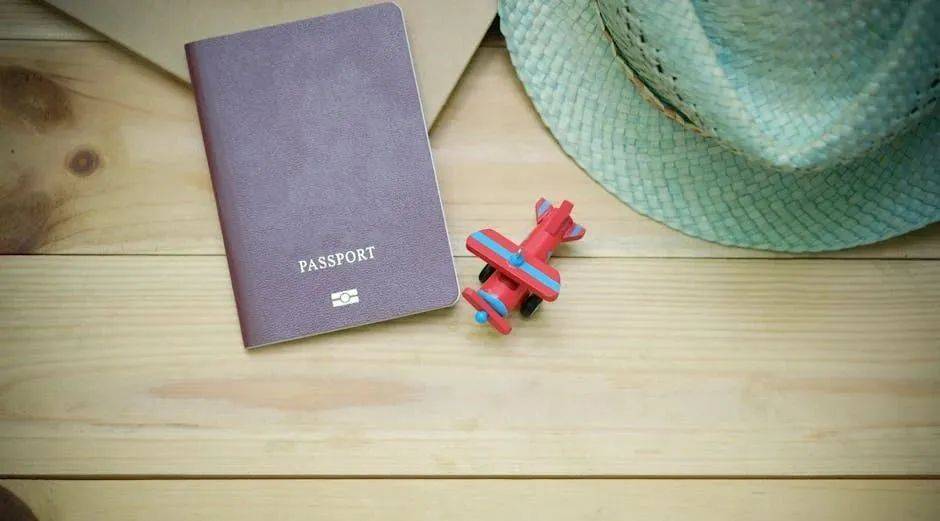 全球护照大洗牌：中国飙升34位，英美跌出榜首-华闻时空