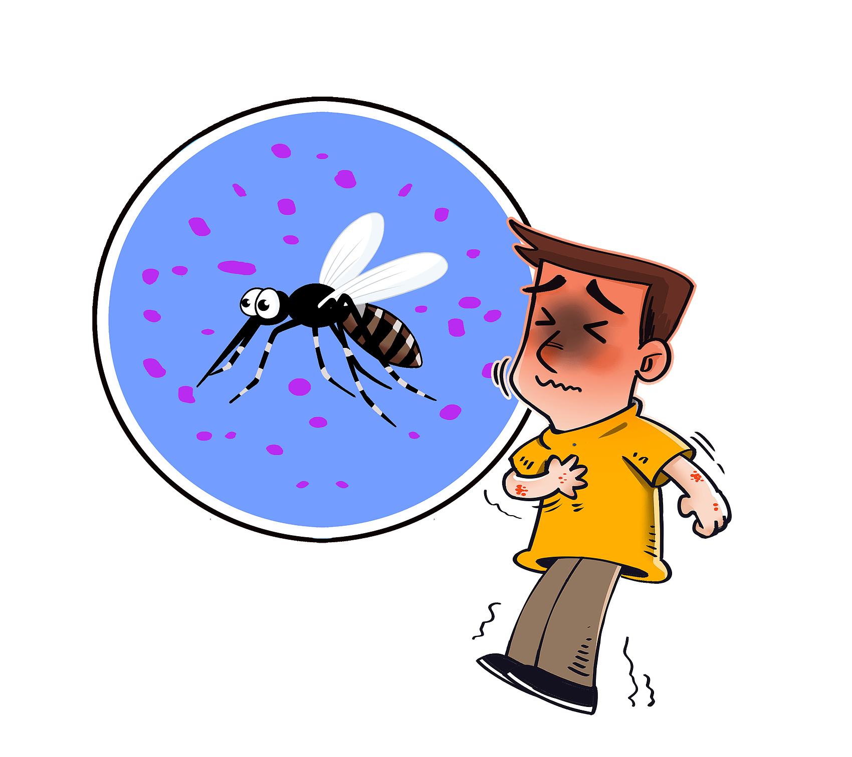 蚊子_花斑_菖蒲