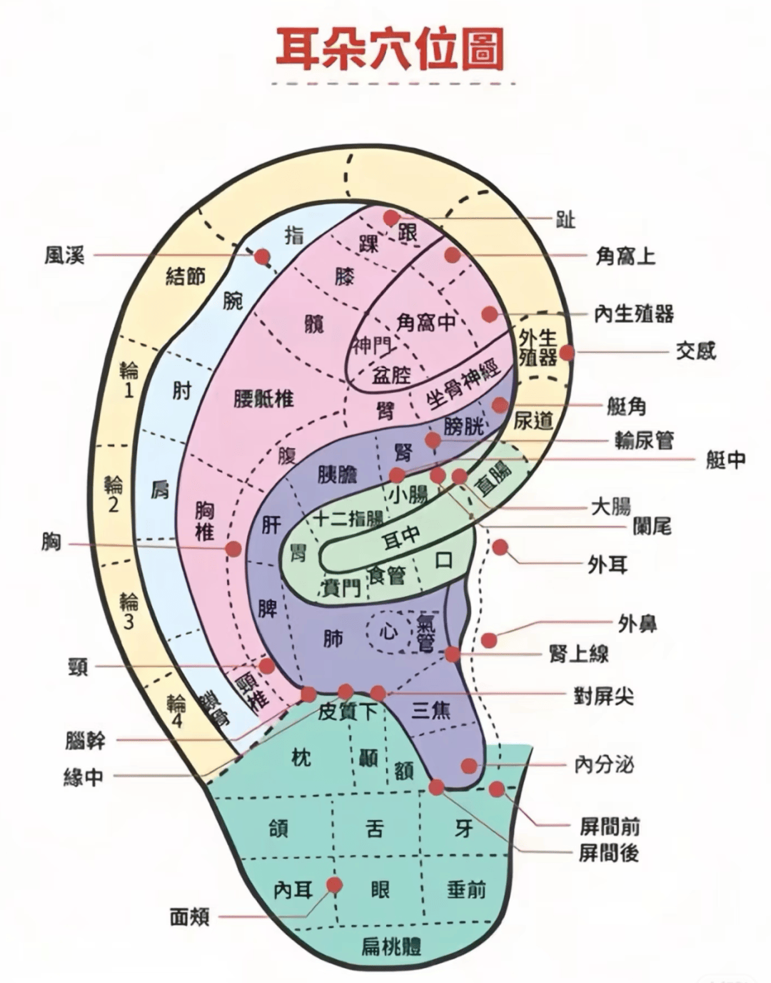 耳穴三法 通络调全身