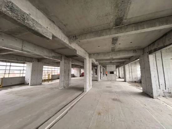 上海交通大学崇明校区建设取得新进展