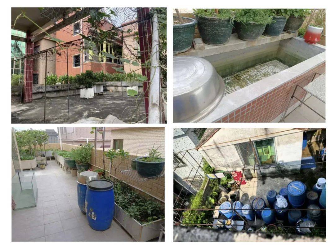 阳台堆满10多桶积水！出租屋藏 “蚊虫摇篮” 还拒配合？切勿抱有侥幸心理……