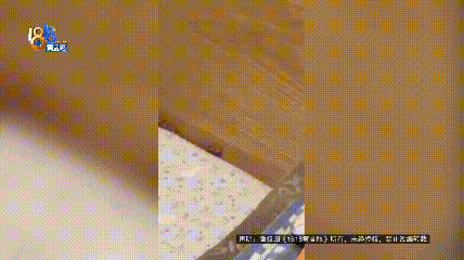 10岁孩子看到床上有蛇被吓到不敢睡觉，楼上业主：喂食的时候跑出来了