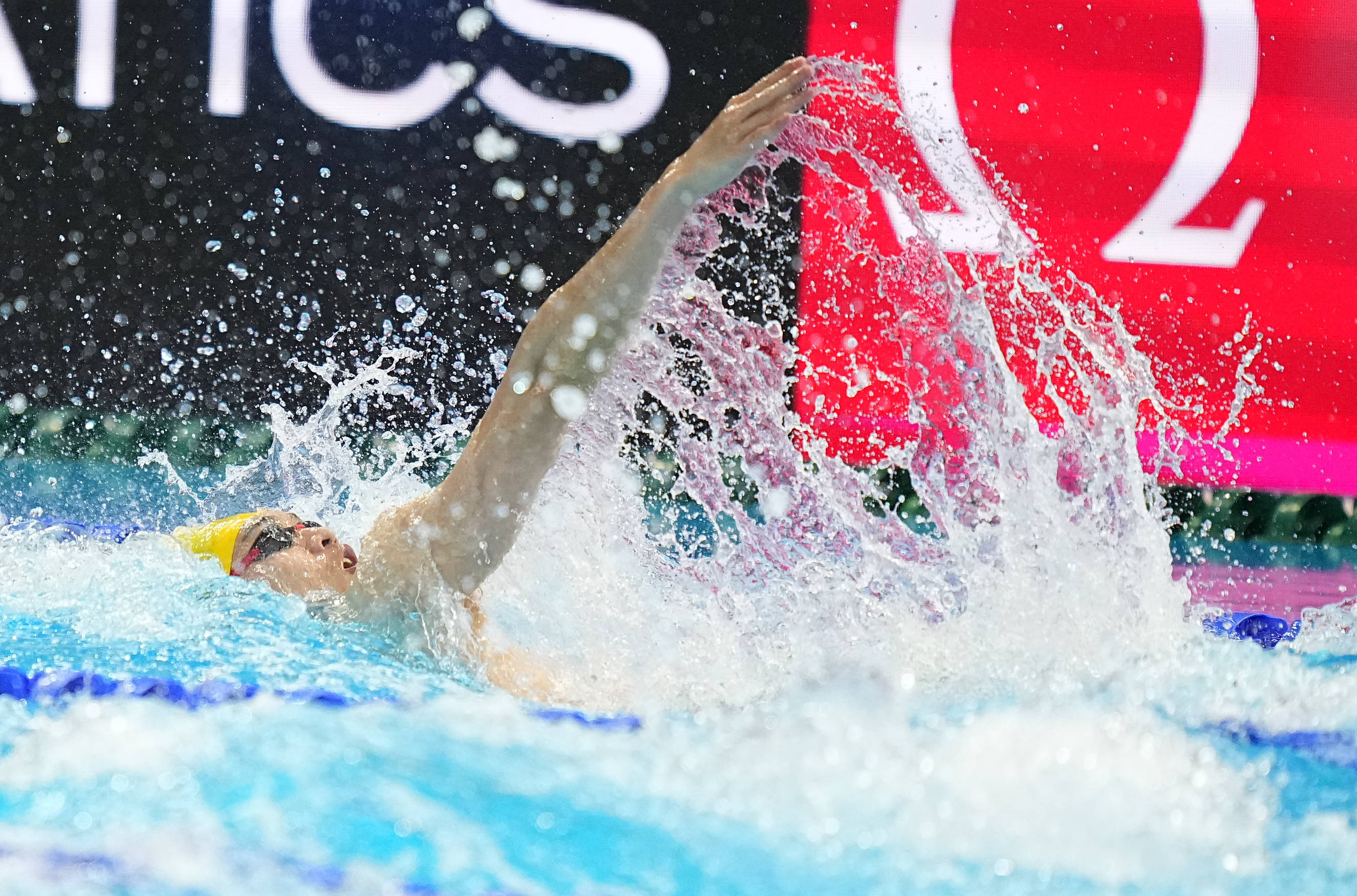 (游泳世锦赛)游泳