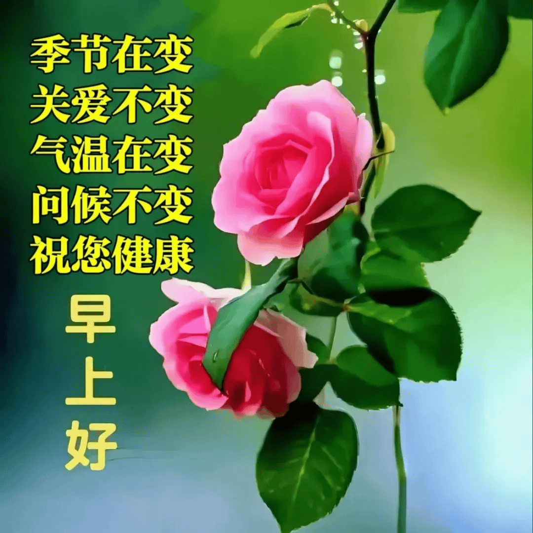 16张最新版最漂亮早上好精选图片祝福