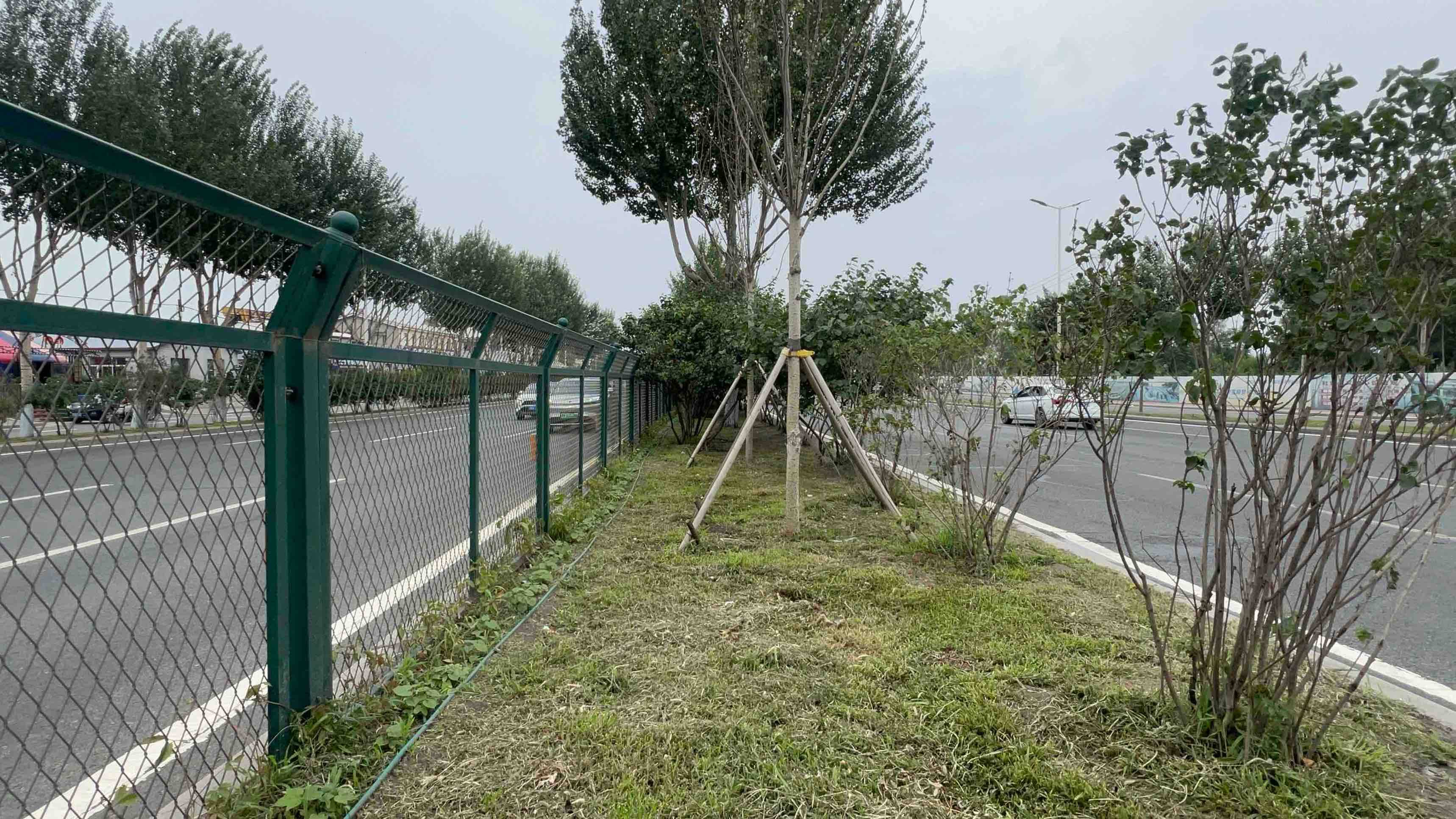 垂直绿廊扮靓城区