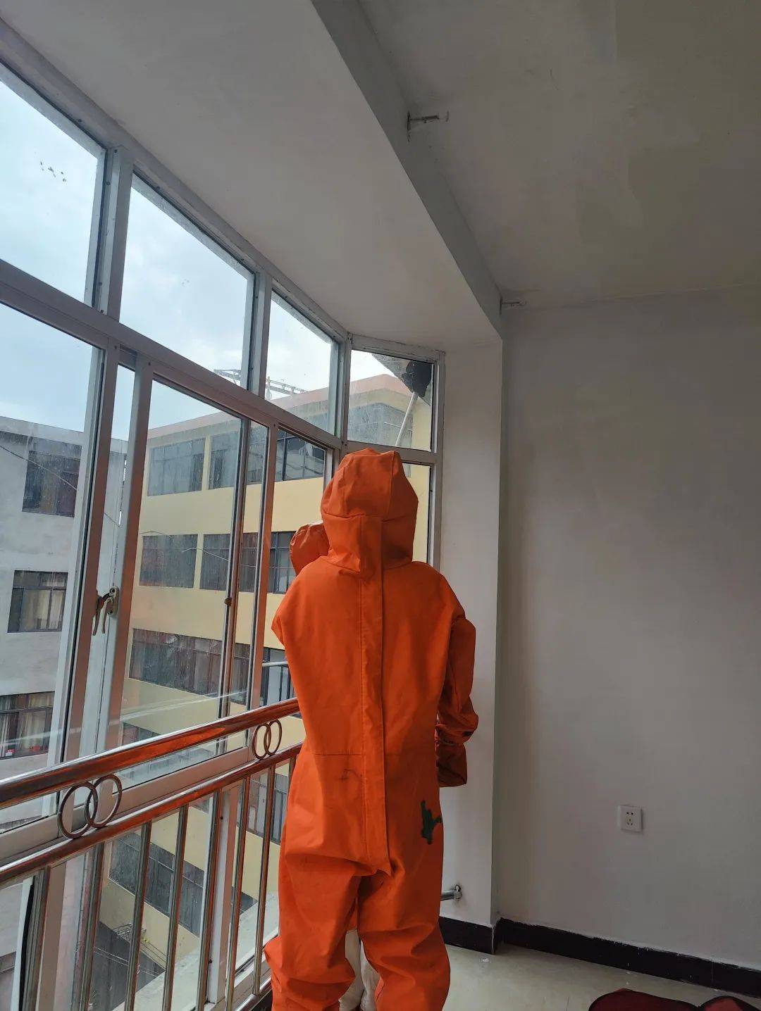 被马蜂蛰了怎么办？带你了解避险自救秘籍！