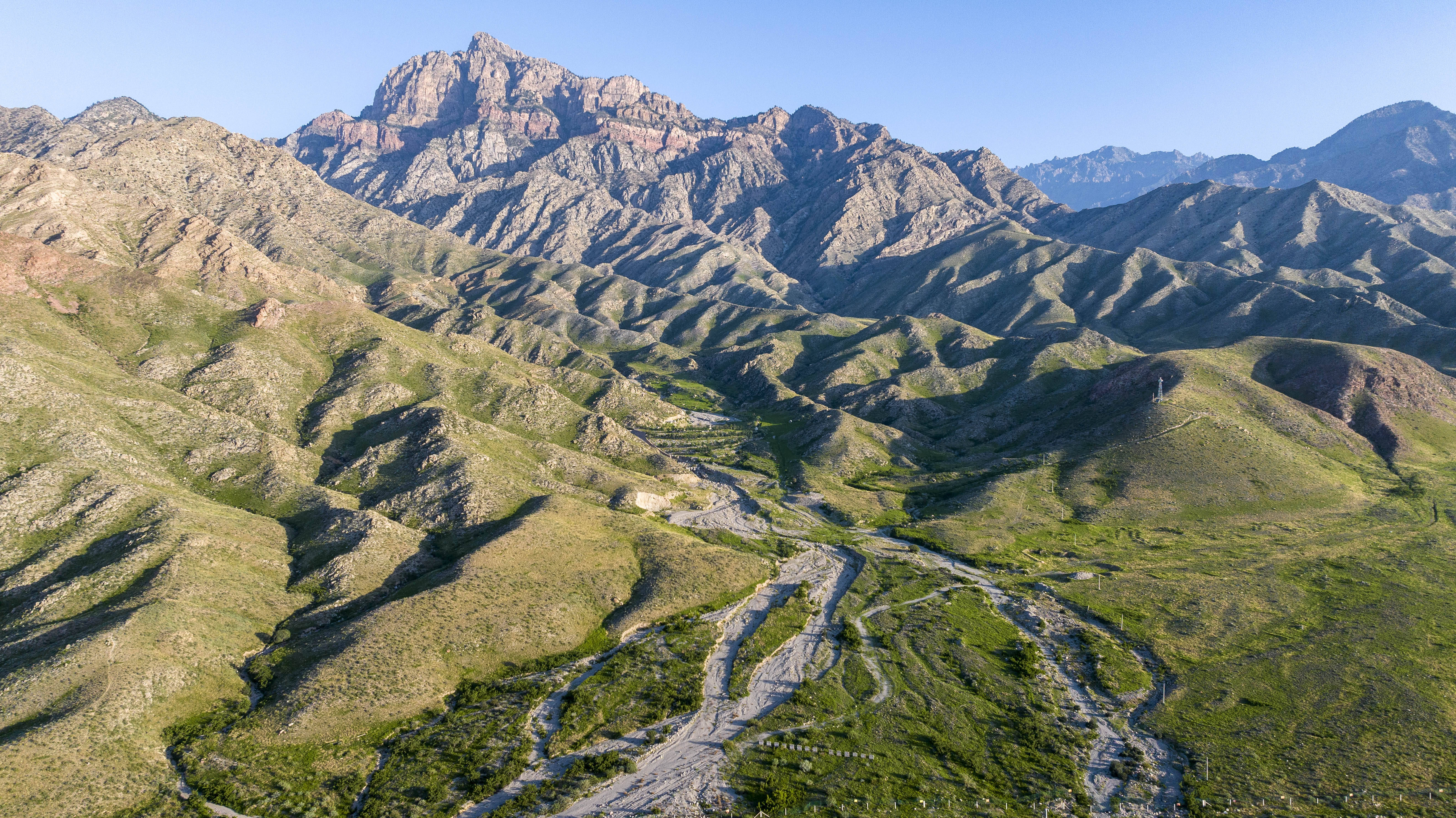 美丽中国丨绿染贺兰山