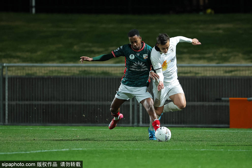 澳大利亚足总杯：SD突击者vs马卡瑟尔FC