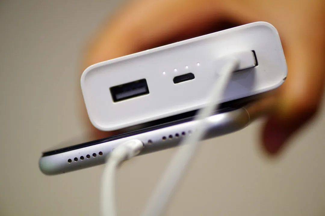 竟然连它都不放过