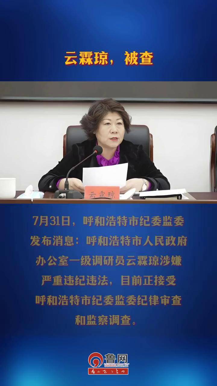 云霖琼,被查