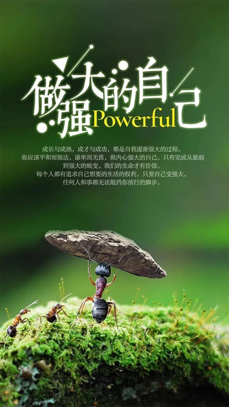 11句激励人心的励志正能量句子句句箴言让人意味深长