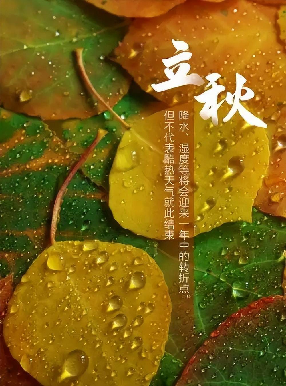 8月7号立秋,今年立秋不一般,60年一遇,三大特点,早看早做准备