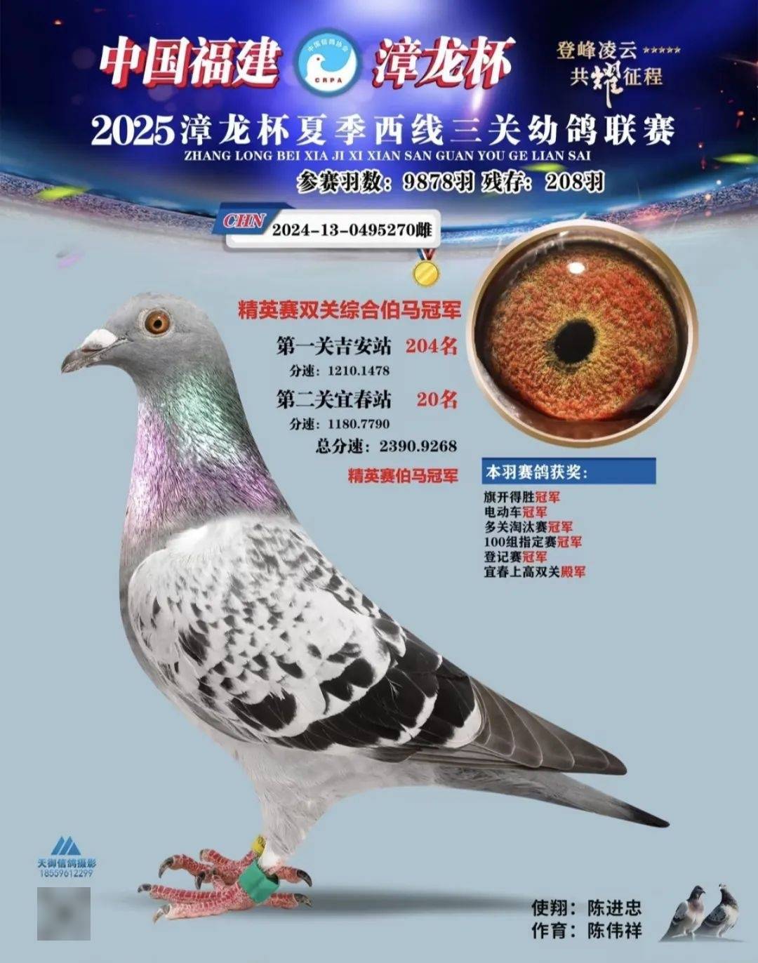 一窝双飞名家苏承坛霸榜前十今年闽南精英会幼鸽售环3790枚举行4关
