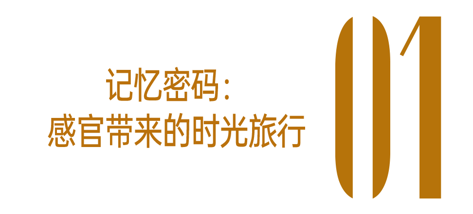 无用的小东西，正在偷偷治愈你