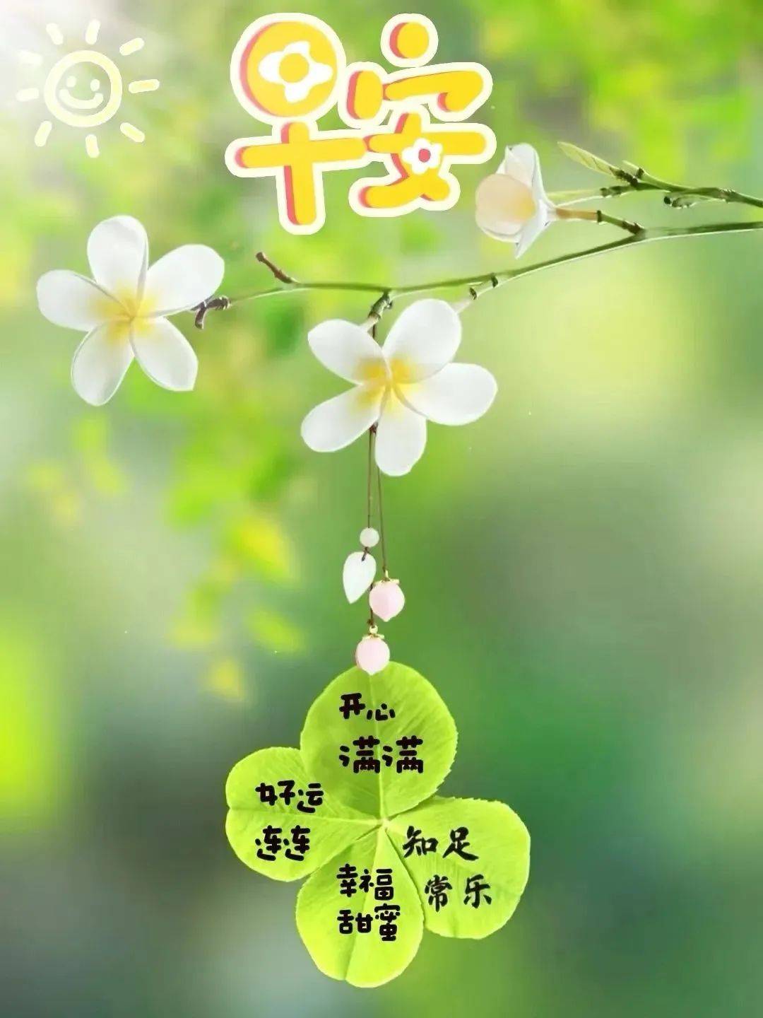 早上好,最漂亮的夏天早安问候图片和祝福精选