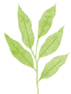 活动预告 | 立体书绘制系列课程（第二期）——背起行囊看世界